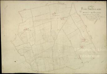 1 vue Fougères-sur-Bièvre : plans du cadastre napoléonien. Section A1 dite du mousseau