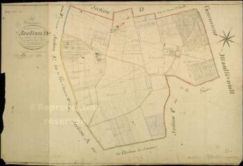 1 vue  - Huisseau-sur-Cosson : plans du cadastre napoléonien. Section D1 dite du Château de l\'Orme (ouvre la visionneuse)