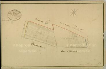 1 vue Huisseau-sur-Cosson : plans du cadastre napoléonien. Section P2 dite des Veaux