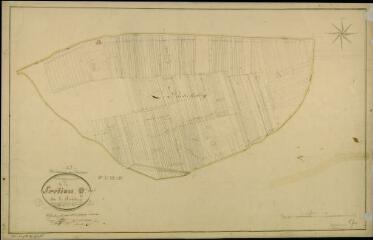 1 vue Huisseau-sur-Cosson : plans du cadastre napoléonien. Section Q dite du Richebourg (développement)