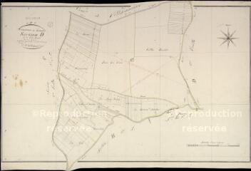 1 vue Landes-le-Gaulois : plans du cadastre napoléonien. Section D1 dite de la vallée Baudet