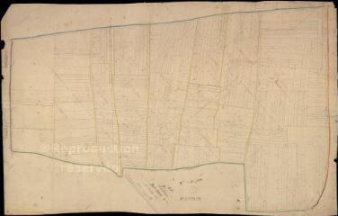 1 vue Lestiou : plans du cadastre napoléonien. Section F dite des champs déry