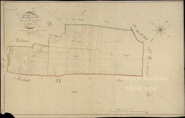 1 vue Maslives : plans du cadastre napoléonien. Section D1 dite des moulins à vent