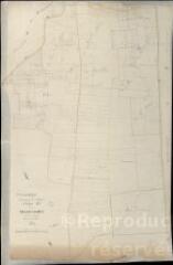 1 vue Maves : plans du cadastre napoléonien. Section F1 dite de villerussien