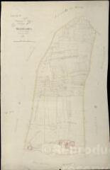 1 vue Maves : plans du cadastre napoléonien. Section F2 dite de villerussien