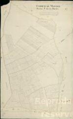 1 vue Mazangé : plans du cadastre napoléonien. Section P dite des bordes