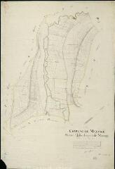 1 vue Mazangé : plans du cadastre napoléonien. Section Q dite des près de mazangé