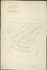 1 vue Mazangé : plans du cadastre napoléonien. Section V dite de la renardière
