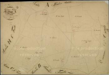 1 vue Mesland : plans du cadastre napoléonien. Section A2 dite le bois guillot