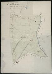1 vue Monthou-sur-Cher : plans du cadastre napoléonien. Section D1