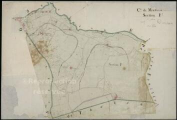 1 vue Monthou-sur-Cher : plans du cadastre napoléonien. Section F2