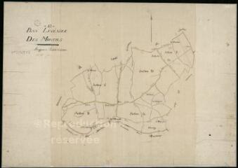 1 vue Montils (Les) : plans du cadastre napoléonien. Plan linéaire