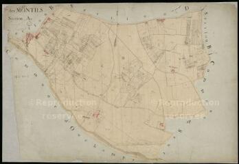 1 vue Montils (Les) : plans du cadastre napoléonien. Section A