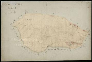 1 vue Montils (Les) : plans du cadastre napoléonien. Section B