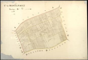1 vue Montlivault : plans du cadastre napoléonien. Section B1