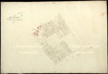 1 vue Montlivault : plans du cadastre napoléonien. Section B3 dite de la seigneurie