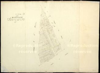 1 vue Montlivault : plans du cadastre napoléonien. Section B6 dite de la pointe de huisseau