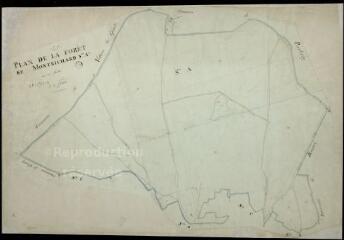 1 vue Montrichard : plans du cadastre napoléonien. Section A