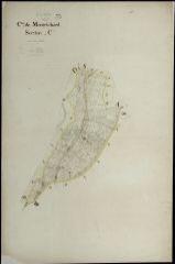 1 vue Montrichard : plans du cadastre napoléonien. Section C