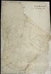 1 vue Montrichard : plans du cadastre napoléonien. Section D