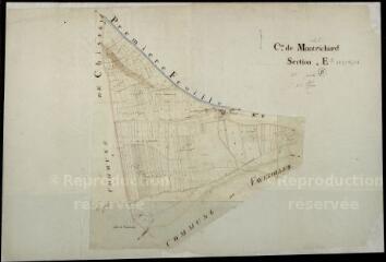 1 vue Montrichard : plans du cadastre napoléonien. Section E2