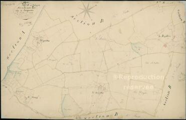 1 vue Mur-de-Sologne : plans du cadastre napoléonien. Section B5 dite de Boisgeneau