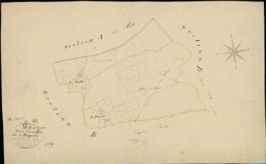 1 vue Mur-de-Sologne : plans du cadastre napoléonien. Section B6 dite de Boisgeneau