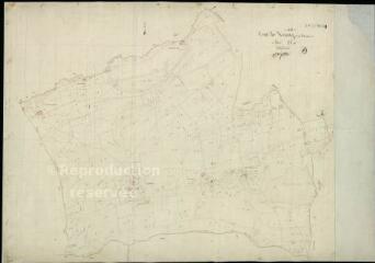 1 vue Neung-sur-Beuvron : plans du cadastre napoléonien. Section D