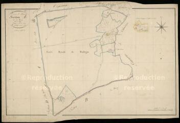 1 vue Neuvy : plans du cadastre napoléonien. Section A2 dite de la forêt
