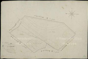 1 vue Pezou : plans du cadastre napoléonien. Section D3 dite de chicheray