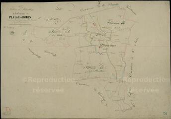 1 vue Plessis-Dorin (Le) : plans du cadastre napoléonien. Tableau d'assemblage