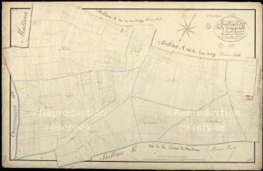 1 vue Saint-Dyé-sur-Loire : plans du cadastre napoléonien. Section D2 dite des longuevault