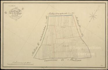 1 vue Saint-Dyé-sur-Loire : plans du cadastre napoléonien. Section F1 dite du bois maçon