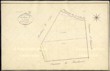 1 vue  - Saint-Léonard-en-Beauce : plans du cadastre napoléonien. Section A2 dite de la forêt (ouvre la visionneuse)
