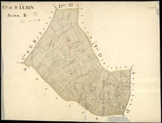 1 vue Saint-Lubin-en-Vergonnois : plans du cadastre napoléonien. Section B1