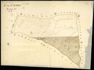 1 vue Saint-Lubin-en-Vergonnois : plans du cadastre napoléonien. Section C3