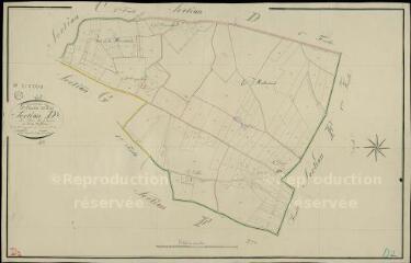 1 vue Saint-Martin-des-Bois : plans du cadastre napoléonien. Section D2 dite du bois des glands