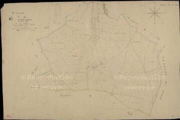 1 vue Savigny : plans du cadastre napoléonien. Section A4 dite des madaires
