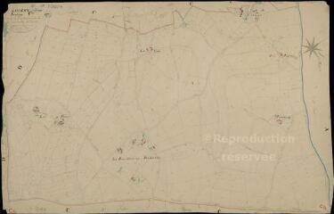1 vue Savigny : plans du cadastre napoléonien. Section C4 dite de la Rouillière au pocheveux