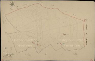 1 vue Savigny : plans du cadastre napoléonien. Section D1 dite de la beaucerie