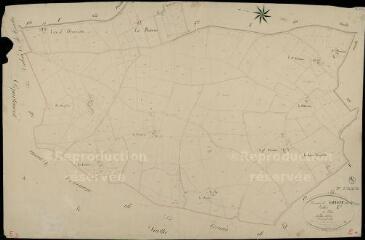 1 vue Savigny : plans du cadastre napoléonien. Section E3 dite de la villée