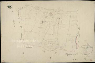 1 vue Savigny : plans du cadastre napoléonien. Section E6 dite de la villée