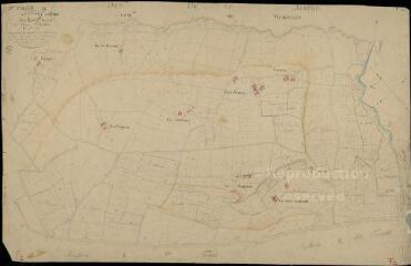 1 vue Savigny : plans du cadastre napoléonien. Section F1 dite du genêt