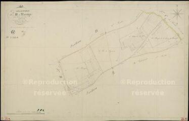 1 vue Selommes : plans du cadastre napoléonien. Section B3 dite de thorigny