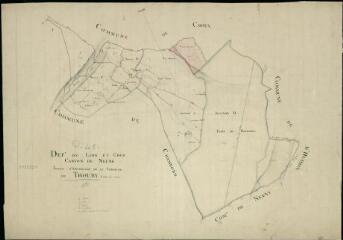 1 vue Thoury : plans du cadastre napoléonien. Tableau d'assemblage