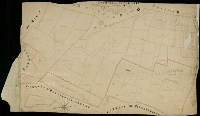 1 vue Tripleville : plans du cadastre napoléonien. Section A2 dite de la mouise martin