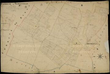 1 vue Tripleville : plans du cadastre napoléonien. Section B1 dite du bourg