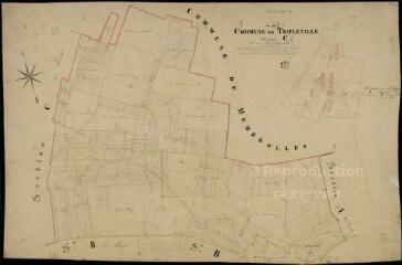 1 vue Tripleville : plans du cadastre napoléonien. Section C2 dite de Manthierville