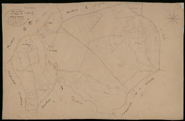 1 vue Viévy-le-Rayé : plans du cadastre napoléonien. Section A3 dite de la jouannière