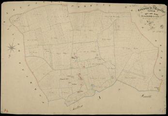 1 vue Villeporcher : plans du cadastre napoléonien. Section A1 dite des haies
